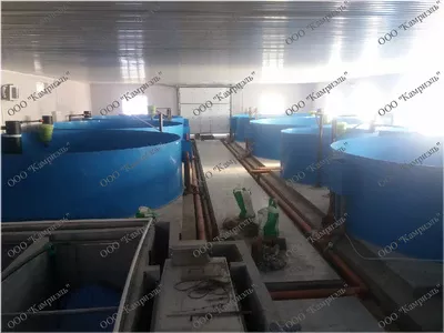 УЗВ для производства осетровой черной икры